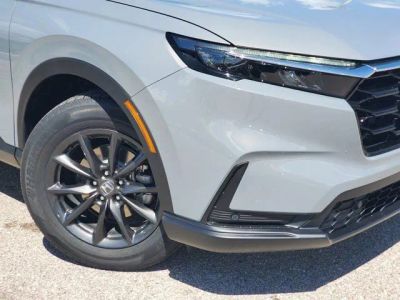 2026 Honda CR-V — side profile view