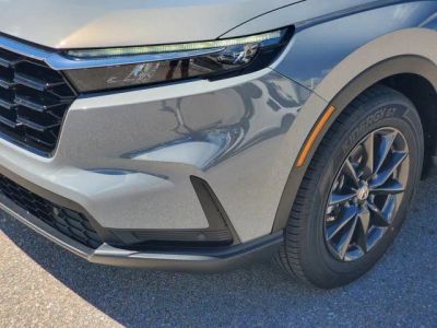2026 Honda CR-V — photo 10 view