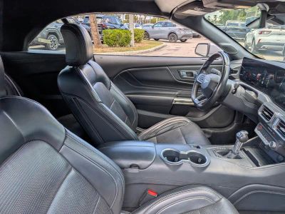 2024 Ford Mustang — photo 14 view