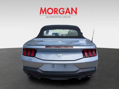 2024 Ford Mustang — detail view