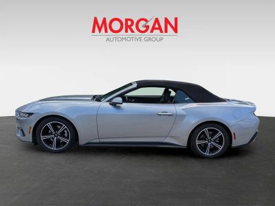 2024 Ford Mustang — photo 7 view