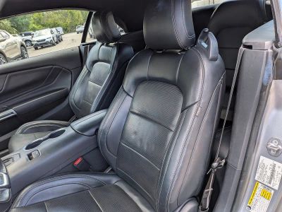 2024 Ford Mustang — photo 16 view