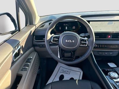 2026 Kia Carnival Hybrid — photo 22 view