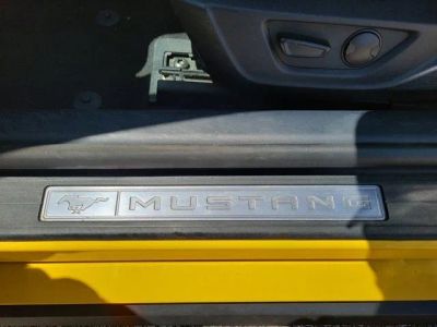 2024 Ford Mustang — photo 19 view