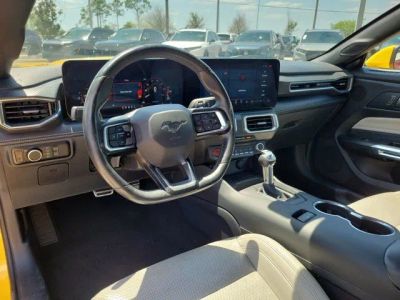 2024 Ford Mustang — photo 16 view