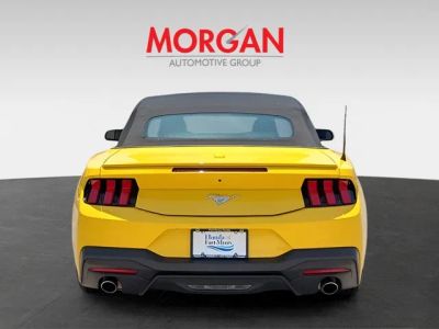 2024 Ford Mustang — detail view