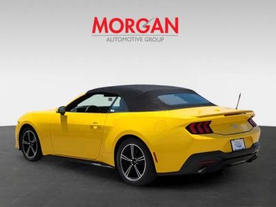 2024 Ford Mustang — interior view