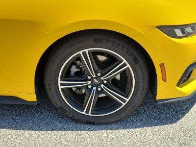 2024 Ford Mustang — photo 7 view