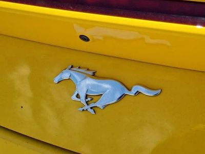 2024 Ford Mustang — photo 10 view