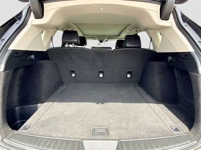 2020 Acura RDX — photo 12 view