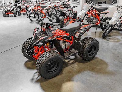 2025 Kayo Predator 125 EFI - Photo 2