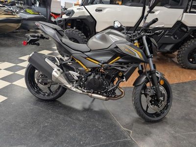 2026 Kawasaki Z500 ABS - Photo 1