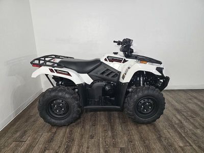 2025 Kawasaki Brute Force 450 4x4 - Photo 1