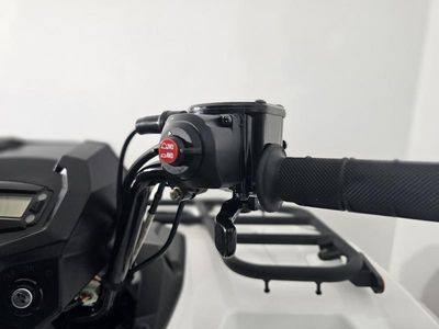 2025 Kawasaki Brute Force 450 4x4 - Photo 21