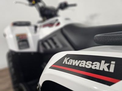 2025 Kawasaki Brute Force 450 4x4 - Photo 18