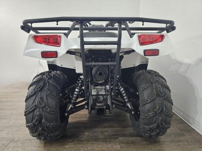 2025 Kawasaki Brute Force 450 4x4 - Photo 7