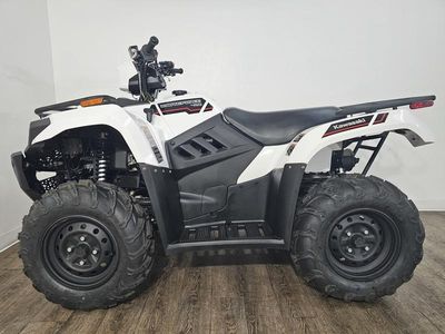 2025 Kawasaki Brute Force 450 4x4 - Photo 5