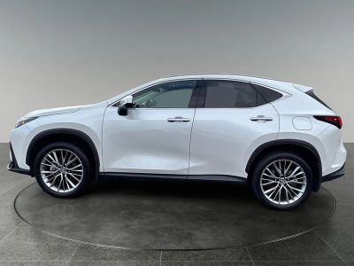 2025 Lexus NX — detail view