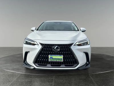 2025 Lexus NX — side profile view