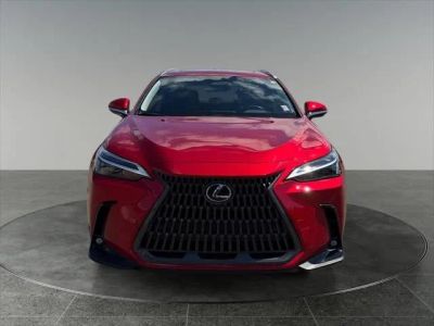 2026 Lexus NX — interior view