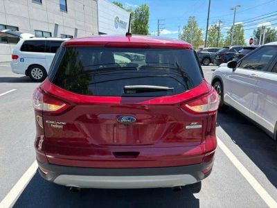 2014 Ford Escape — detail view