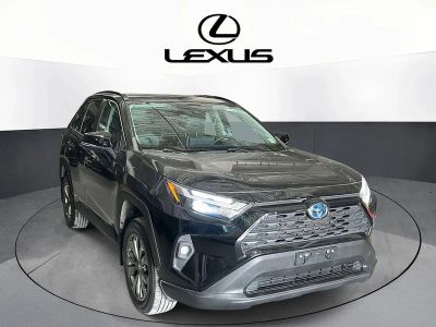 2022 Toyota RAV4 Hybrid - Photo 3