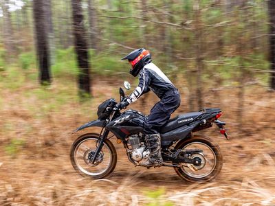 2025 Honda XR150L - Photo 21