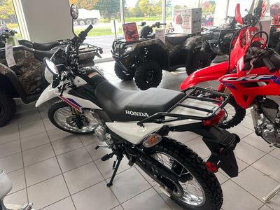 2025 Honda XR150L - Photo 3