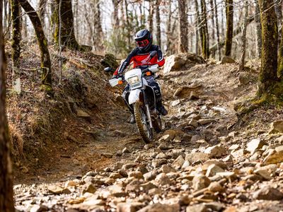 2025 Honda XR650L - Photo 10