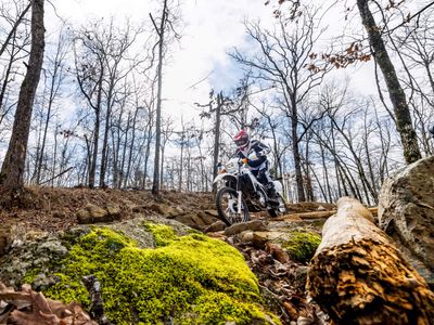 2025 Honda XR650L - Photo 7