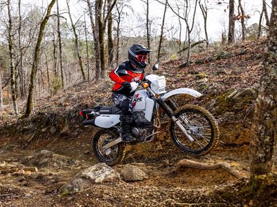 2025 Honda XR650L - Photo 8