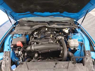 2024 Ford Mustang - Photo 9