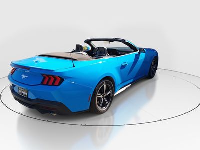 2024 Ford Mustang - Photo 7