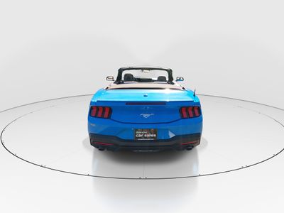 2024 Ford Mustang - Photo 6