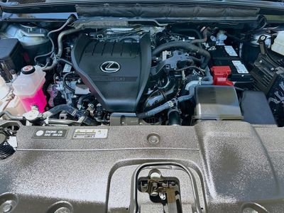2024 Lexus RX - Photo 33