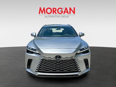 2024 Lexus RX - Photo 2