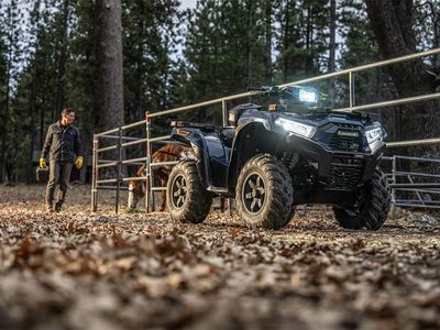 2026 Kawasaki Brute Force 750 EPS - Photo 20