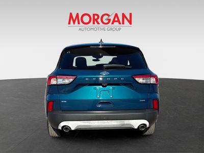 2020 Ford Escape - Photo 4