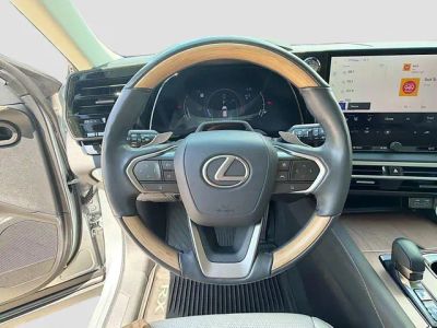 2024 Lexus RX — photo 41 view