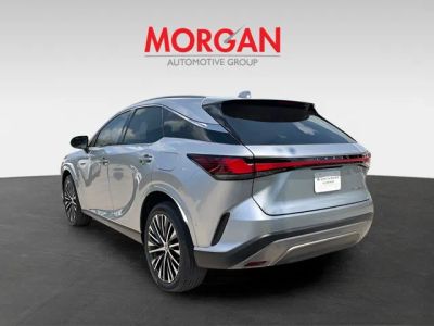 2024 Lexus RX — detail view