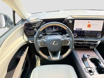 2024 Lexus RX — photo 18 view