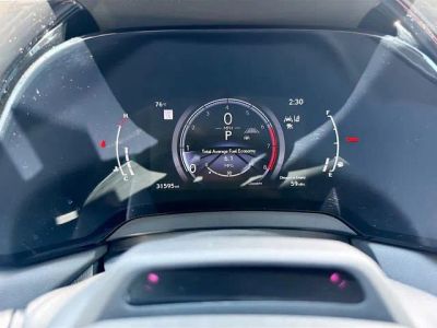 2024 Lexus RX — photo 42 view