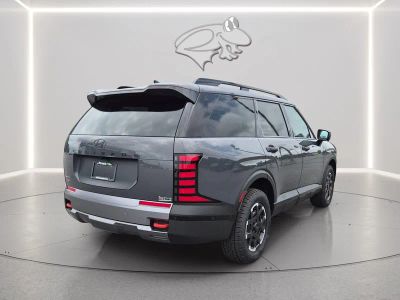 2026 Hyundai Palisade — detail view