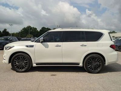 2024 INFINITI QX80 - Photo 2