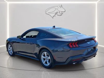 2024 Ford Mustang — detail view