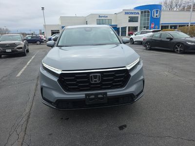 2024 Honda CR-V EX-L — rear three-quarter view
