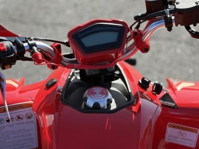 2025 Denago Powersports Daytona 250 FI - Photo 12
