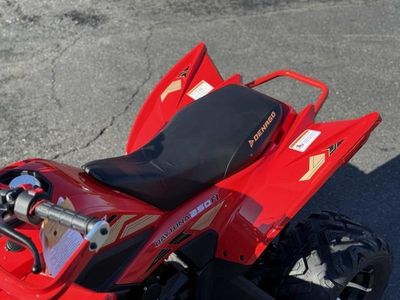 2025 Denago Powersports Daytona 250 FI - Photo 15