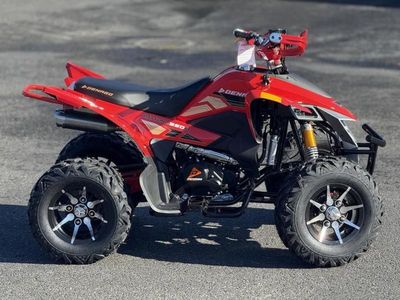 2025 Denago Powersports Daytona 250 FI - Photo 7