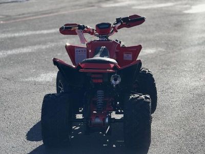 2025 Denago Powersports Daytona 250 FI - Photo 6